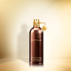 Aoud Forest