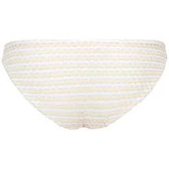 Bikini Slip Mesh Effect