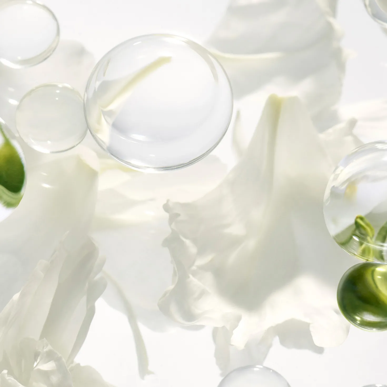 Blanc Peony Face Cream Dark Spot Corrector
