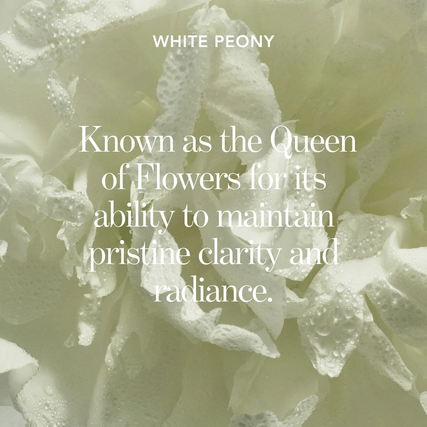 Blanc Peony Overnight Mask