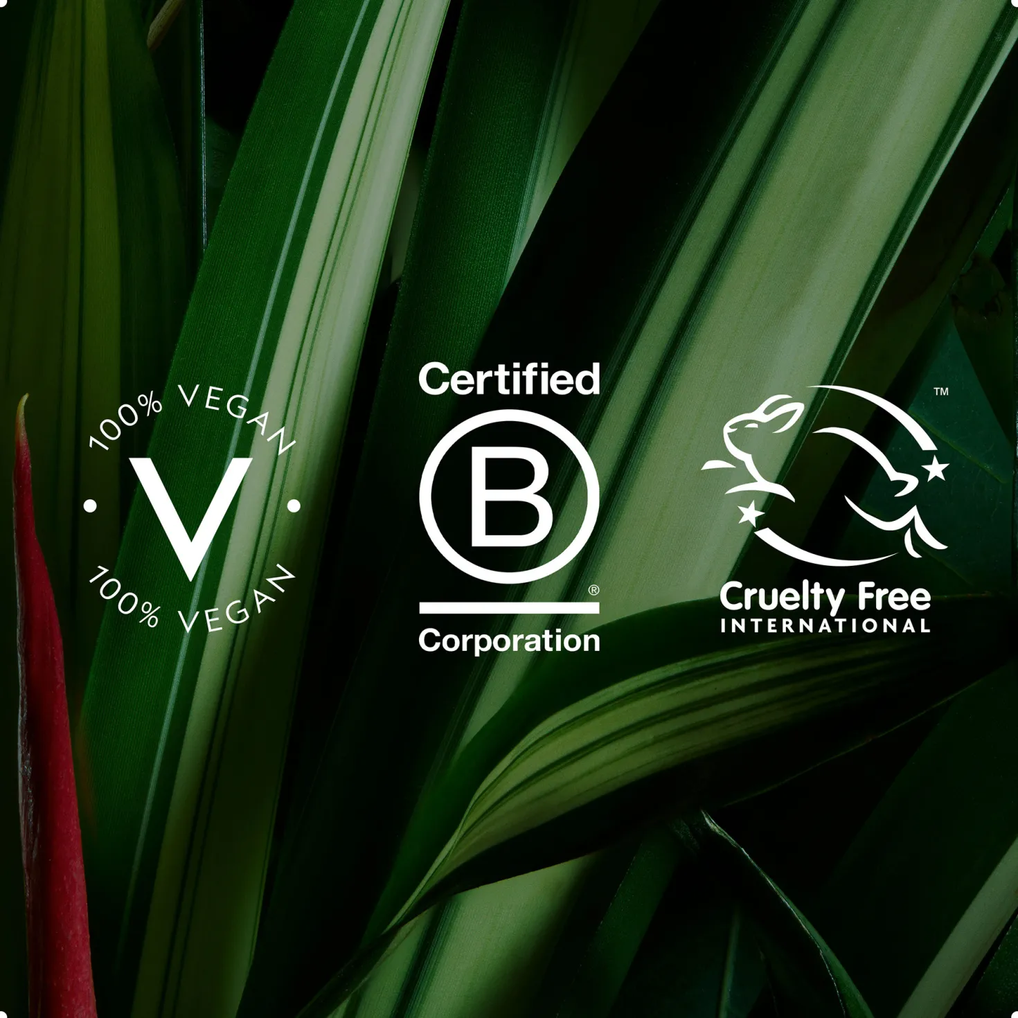 botanical repair™ strengthening conditioner