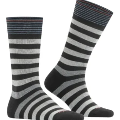 Burlington blackpool herren