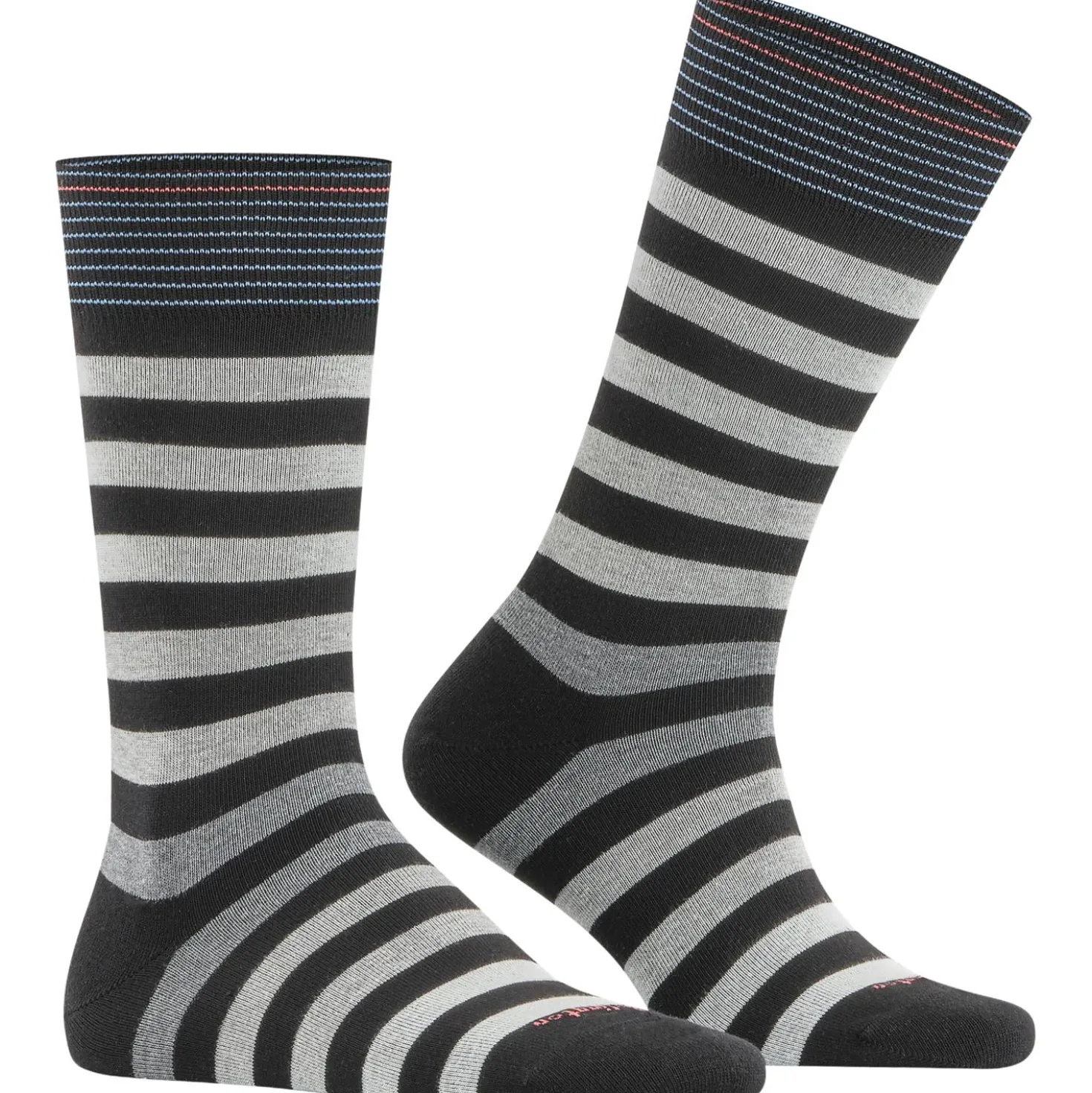 Burlington blackpool herren
