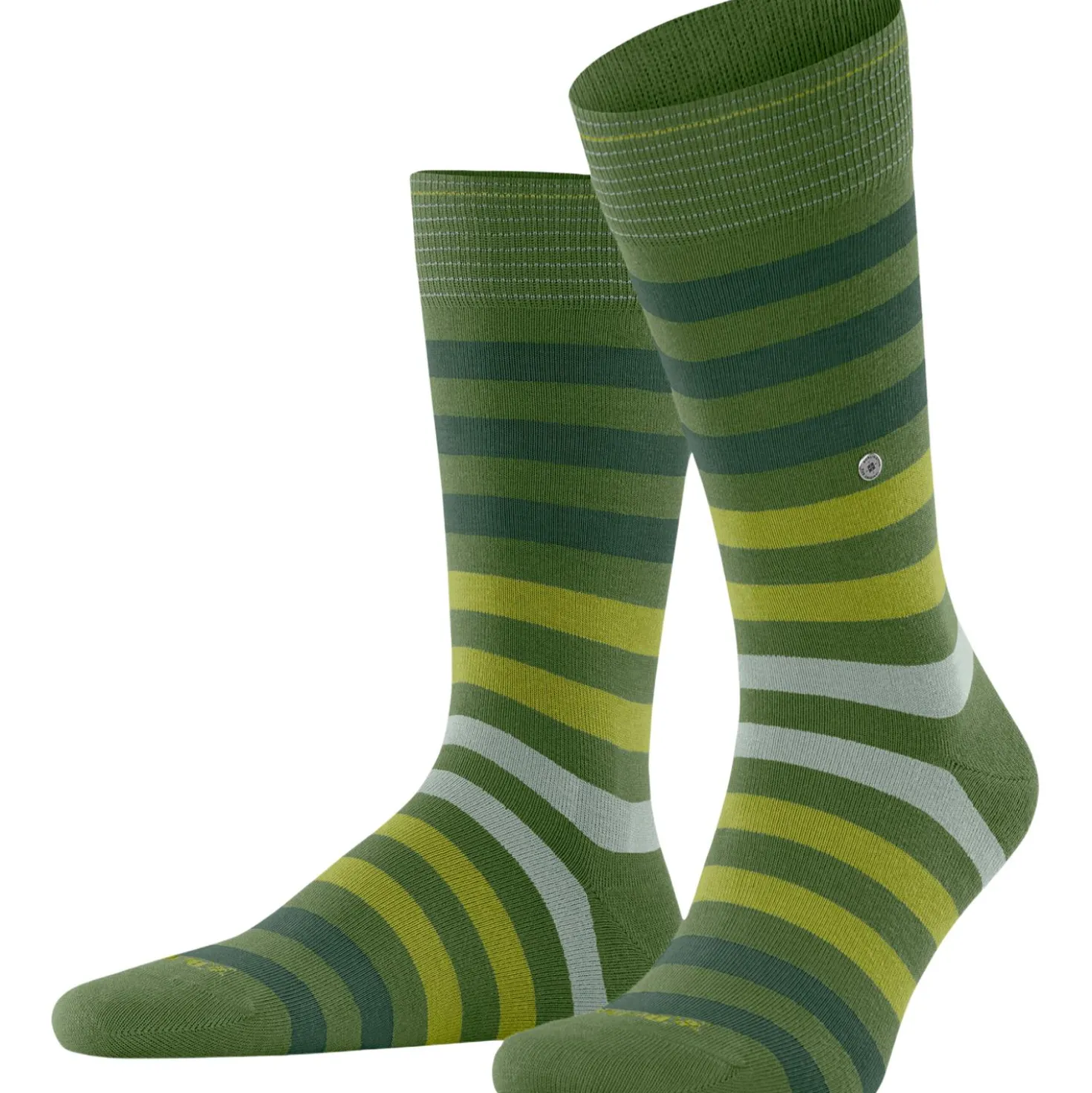Burlington blackpool herren