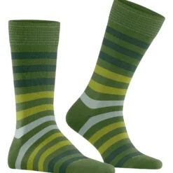 Burlington blackpool herren
