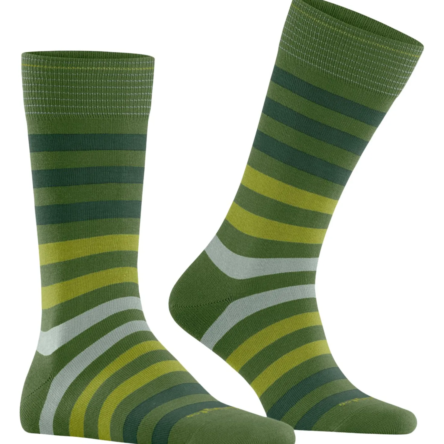 Burlington blackpool herren
