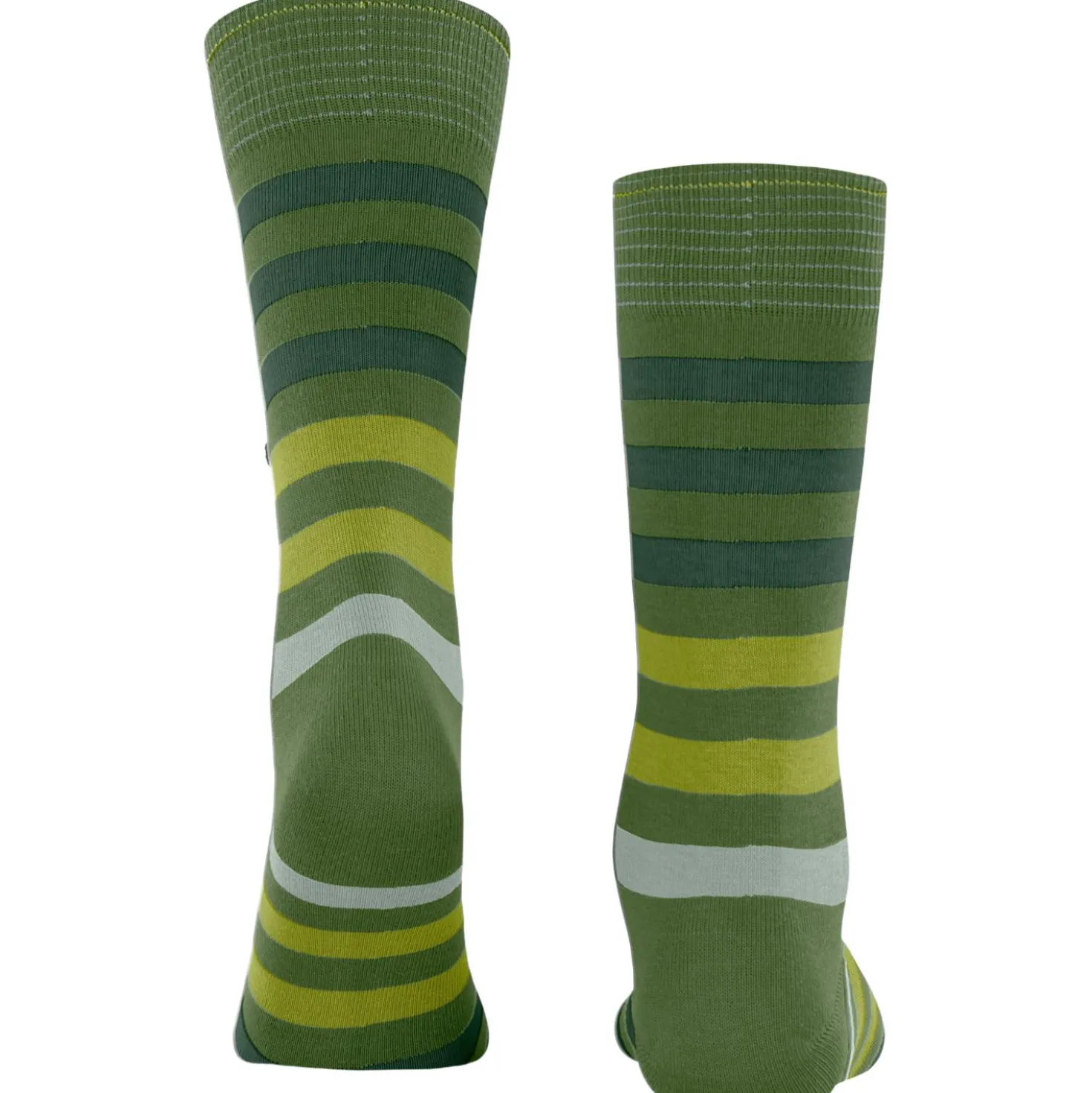 Burlington blackpool herren