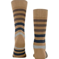 Burlington blackpool herren