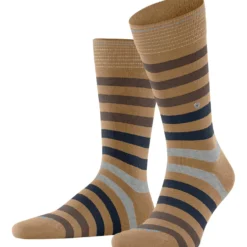 Burlington blackpool herren