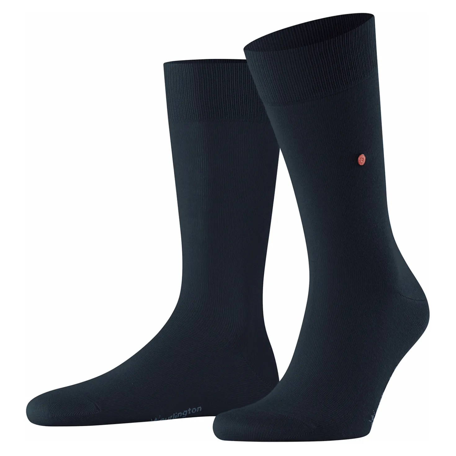 Burlington lord herren