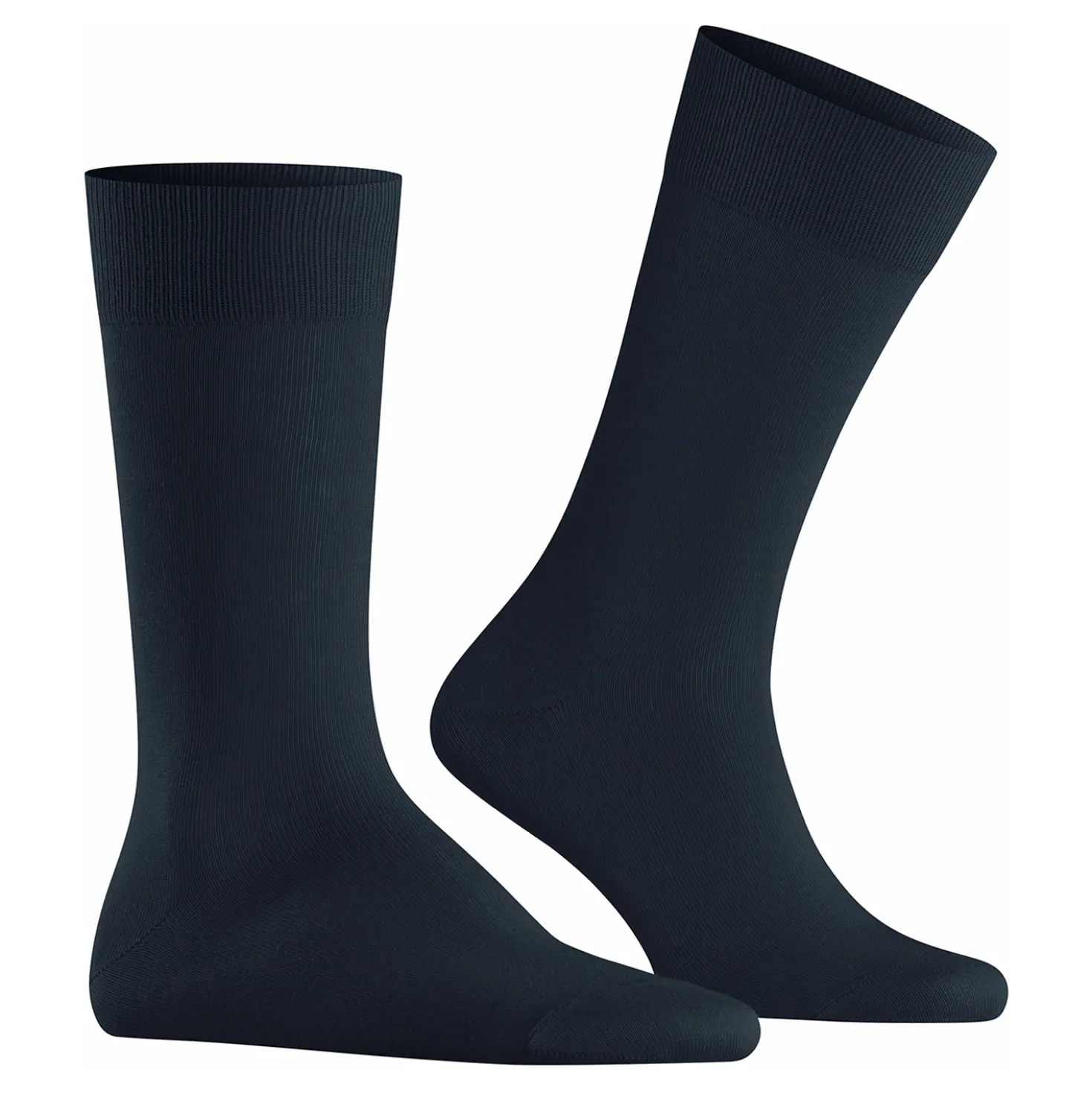 Burlington lord herren