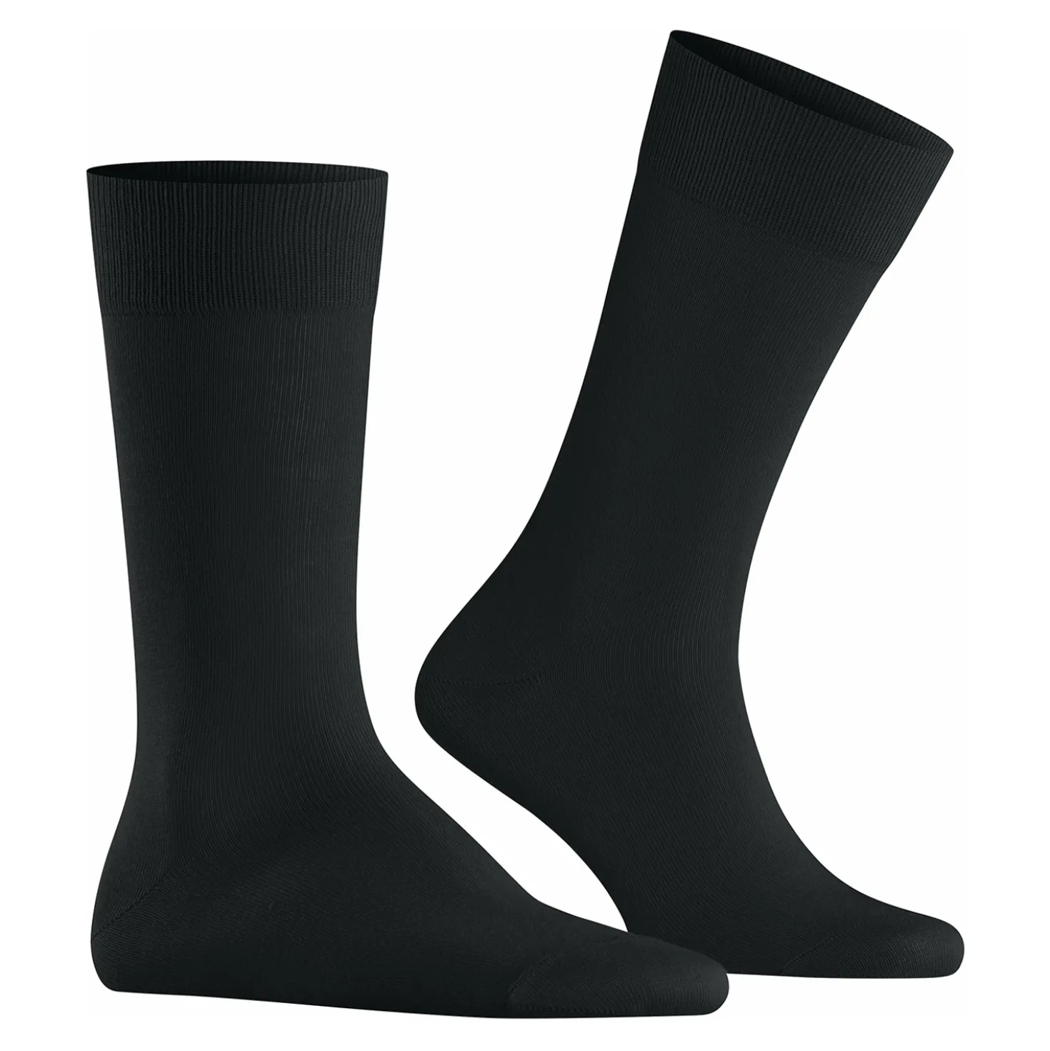 Burlington lord herren