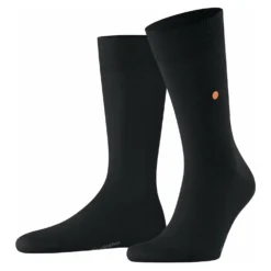 Burlington lord herren
