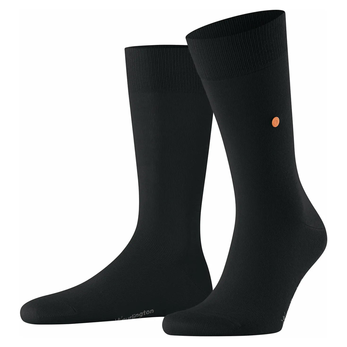 Burlington lord herren