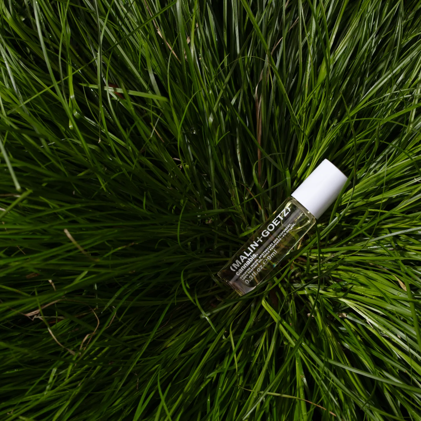 Cannabis Perfume Oil