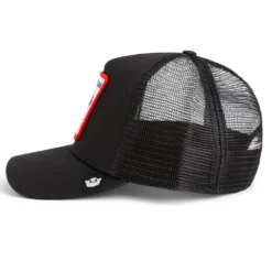Cap Freedom Eagle
