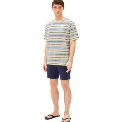 Chino Shorts
