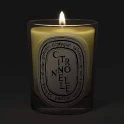Citronnelle Classic Candle 190g