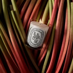 Classic Candle Rhubarbe 190g