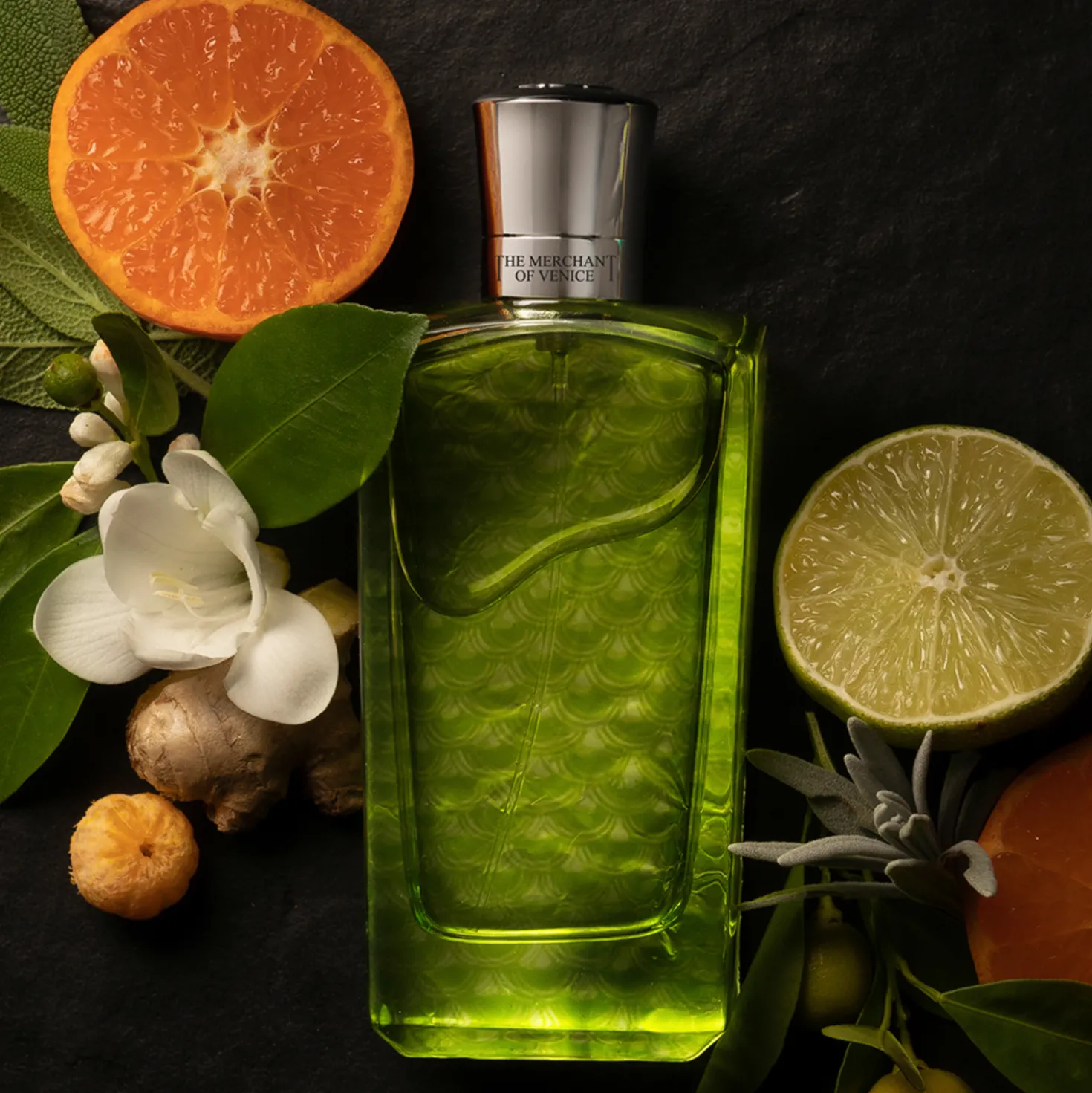 Colonia Veneziana Eau de Parfum