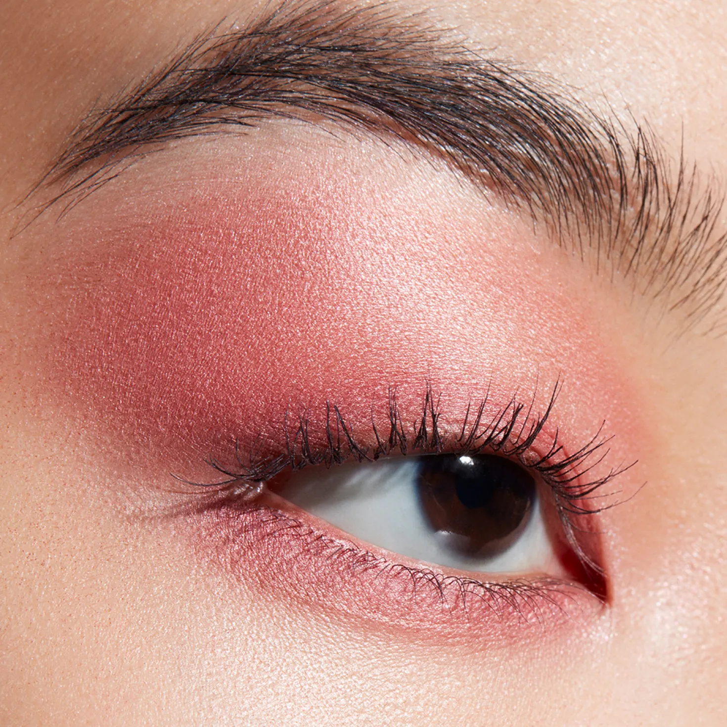 Connect In Eyeshadow Palette