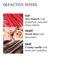 Delicious Rhubarb & Rose Signature Scented Candle (Single Wick)
