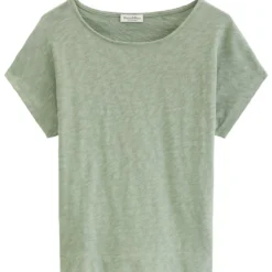 Dfc t-shirt regular