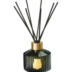 Diffuser Spiritus Sancti