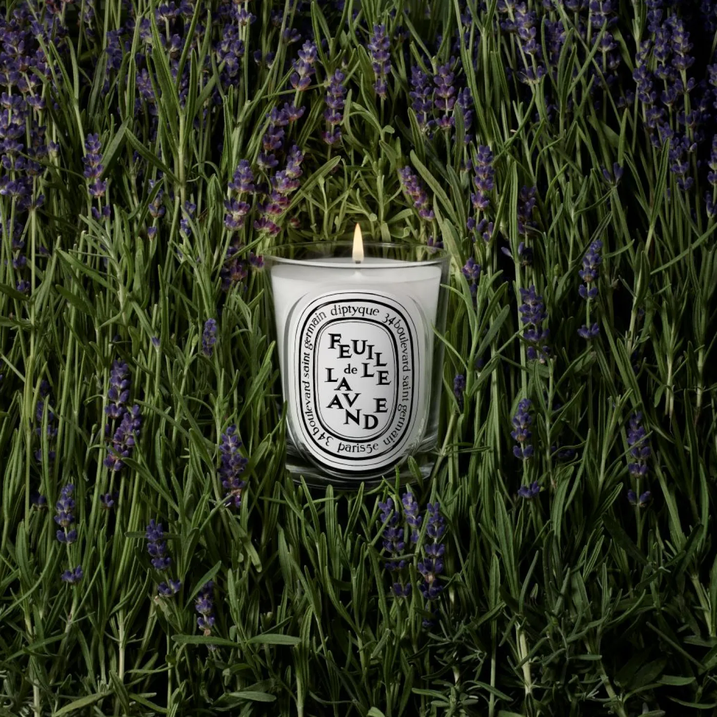 Feuille de Lavande Classic candle 190g/6.7oz