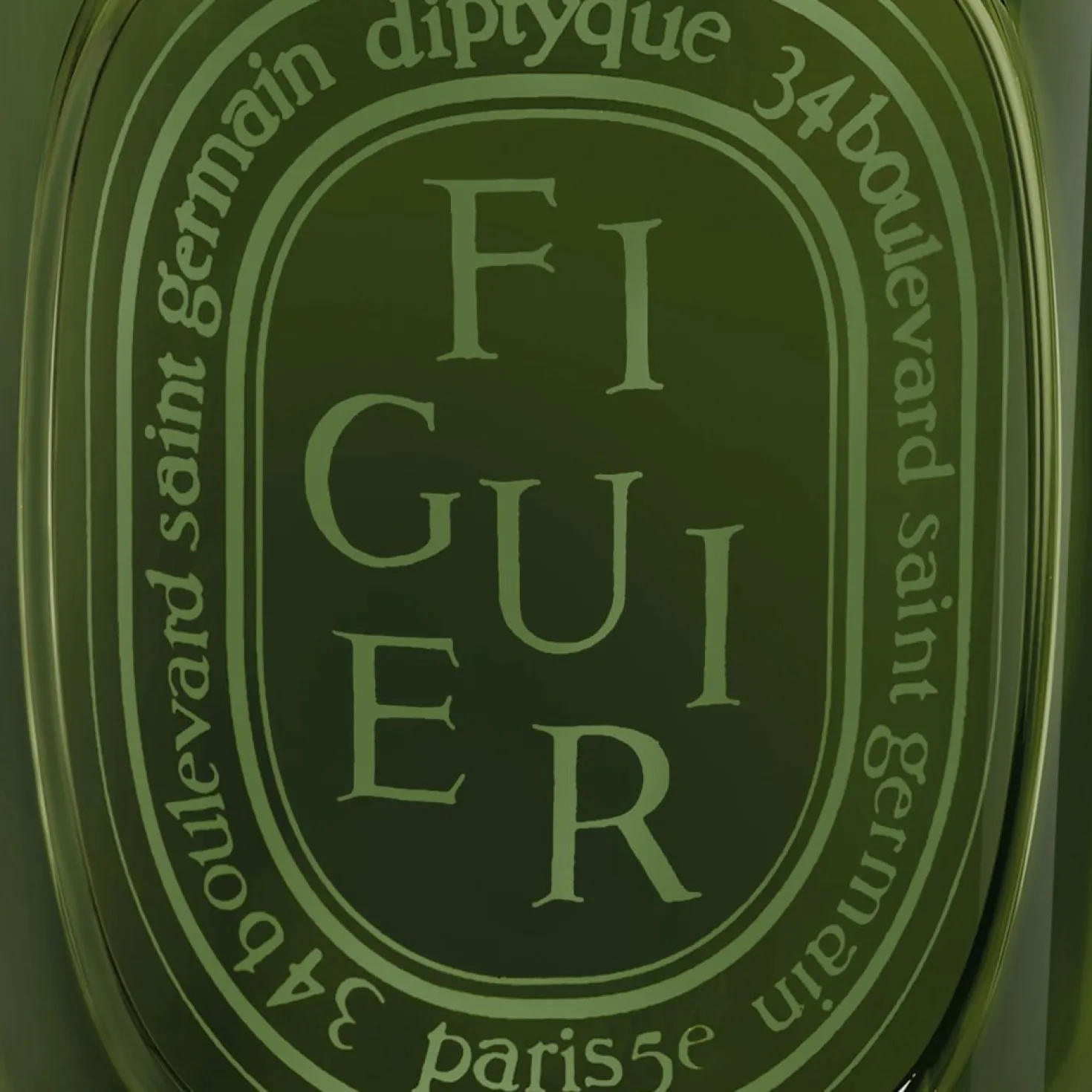 Figuier Medium candle 300g