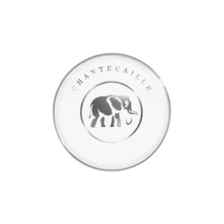 Future Skin Cushion Foundation