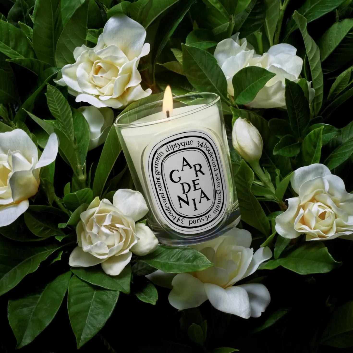 Gardenia Classic candle 190g/6.7oz