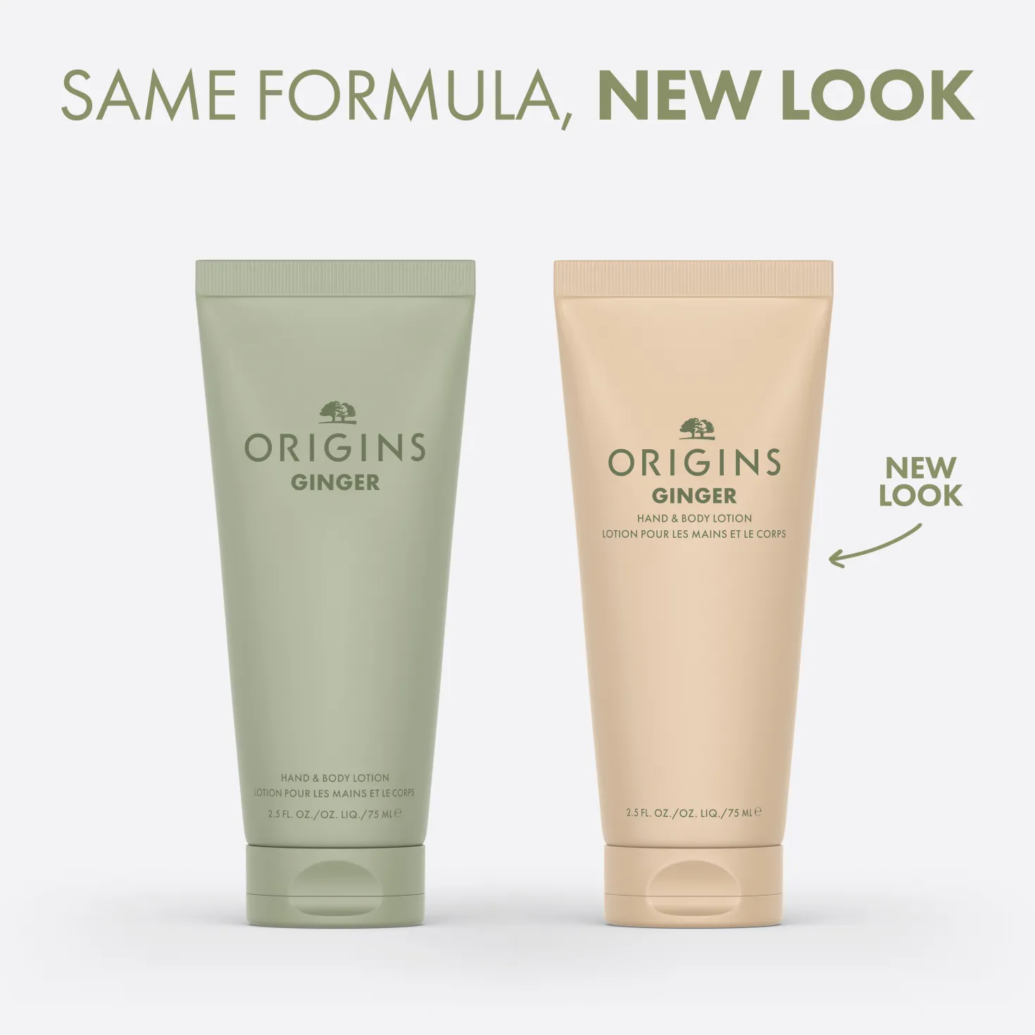 Ginger Hand & Body Lotion