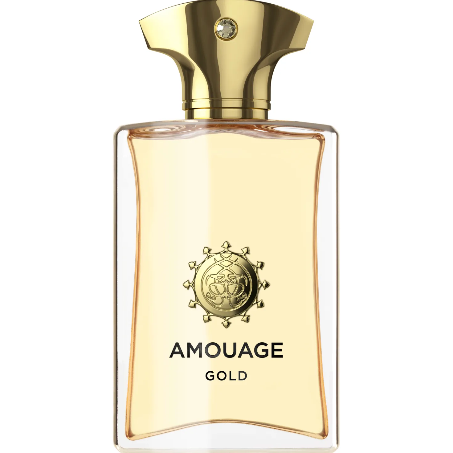 Gold Man Eau de Parfum 2024