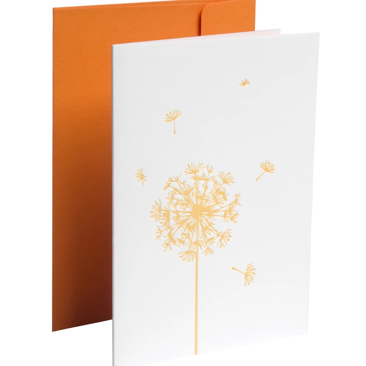 Grußkarte - Pusteblume - orange