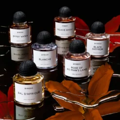 Gypsy Water Absolu