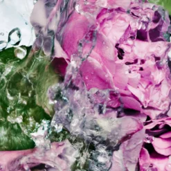 Hand Lotion Lost Rose