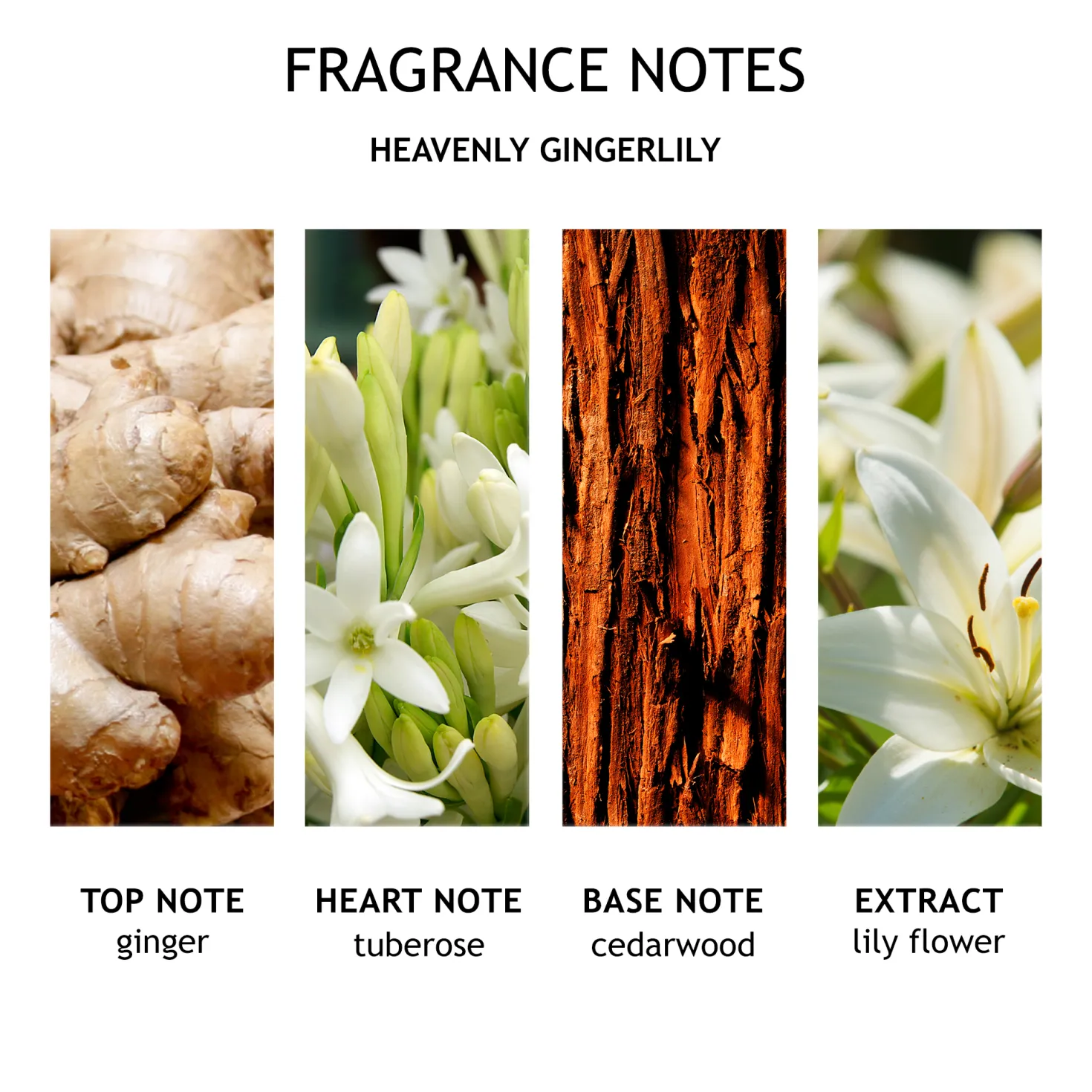 Heavenly Gingerlily Hand Cream