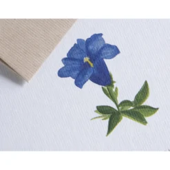 Karte Botanicals - Blauer Enzian