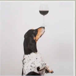 Karte Hund