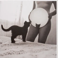 Karte Katze
