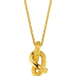 Kette Knoted Pretzelle