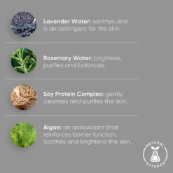 Lavender Foam Cleanser