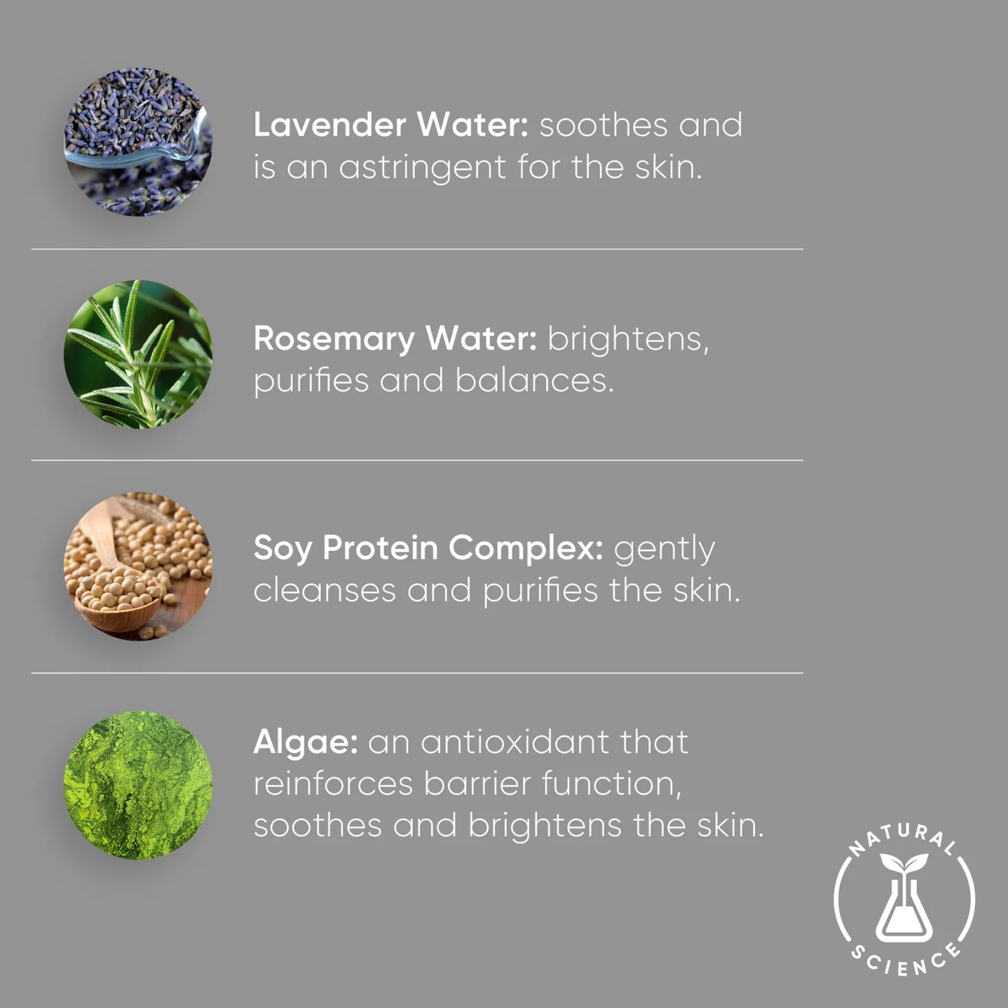 Lavender Foam Cleanser
