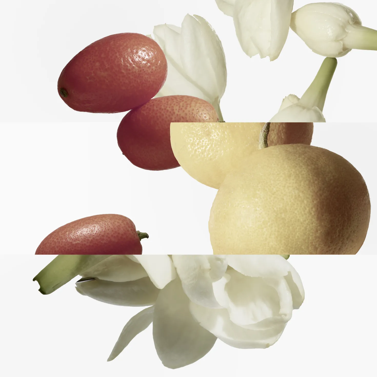 Le Jardin de Monsieur Li Refill