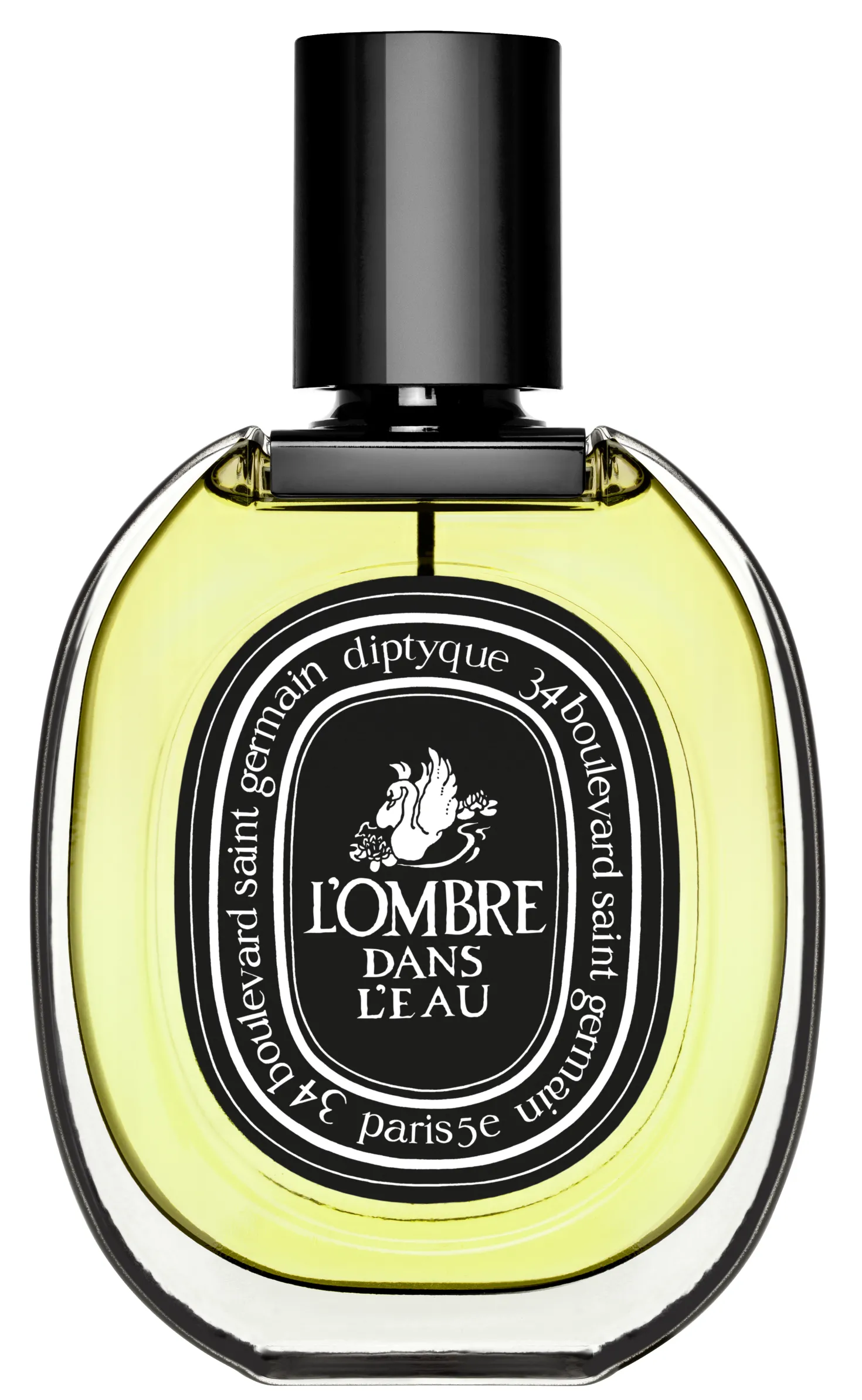 L`Ombre dans l'eau