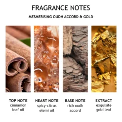 Mesmerising Oudh Accord & Gold Body Lotion