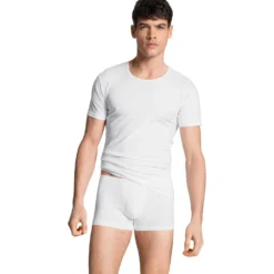 New Boxer mit überzogenem Bund