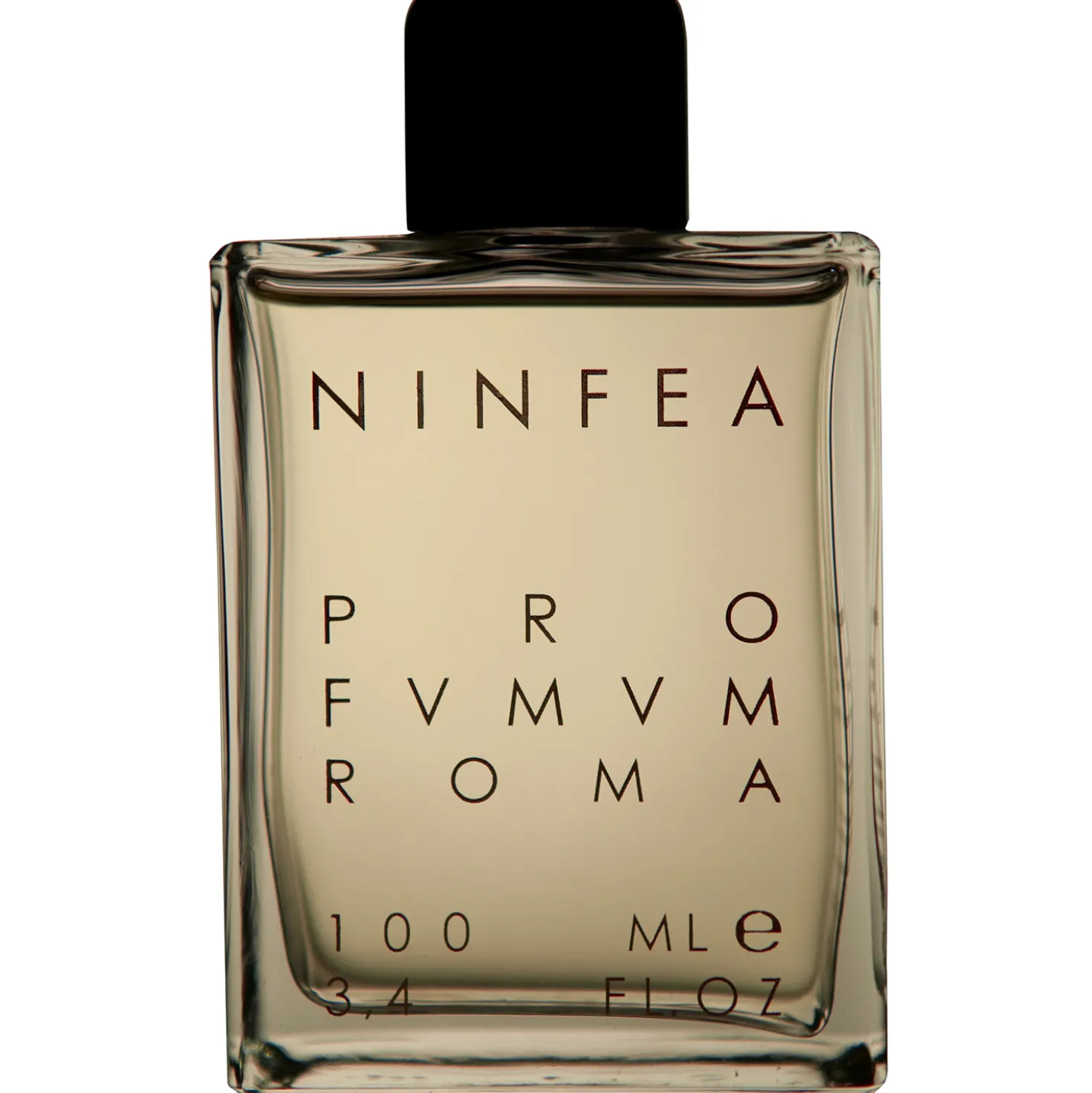 Ninfea