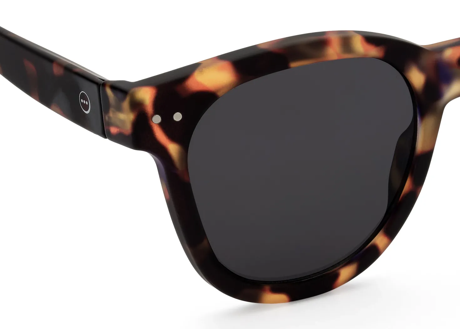 #N SUN Tortoise +0.00